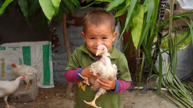 Pictures from Emily & Tom's trip