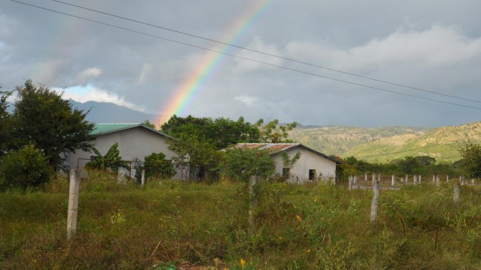 Honduran Rainbow